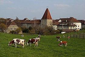 Wiedlischbach mit em Wohnturm
