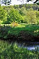 Woodland above the river Riccal