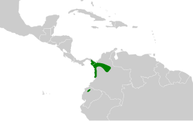 Distribución geográfica del colagrís norteño.