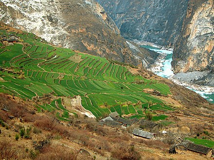 Cultures en terrasses au débouché des gorges du Saut du tigre (Yunnan).