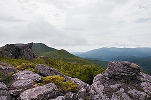 鈴谷岳山頂付近