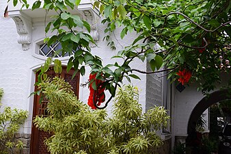 Haus mit Garten in Santa Teresa