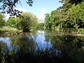 Aldershot Park