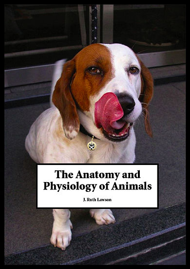 Anatomy and Physiology of Animals icon