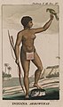 Arawak woman by John Gabriel Stedman (1818), wearing a loin cloth of woven beads.