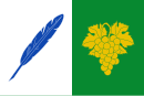 Drapeau de Toén