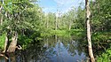 Bear Creek Flooding State Wildlife Management Area