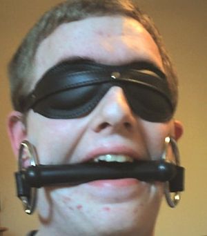 A rubber bit gag with blindfold