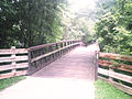 One of the many wooden bridges overlooking Bloomington City streets.