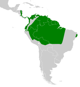 Distribución geográfica del trepatroncos fuliginoso.