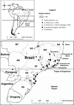 Distribuição geográfica de B. brasiliensis e B. bahiensis[2]