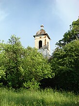 Biserica reformată, în paragină și înconjurată de vegetație