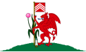 Flag of Cardiff, Wales.