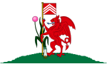 Cardiff (Registered by the Flag Institute)[34]