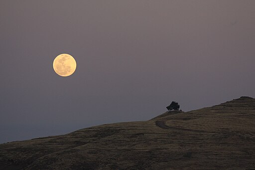 Flickr - don macauley - Moon rise