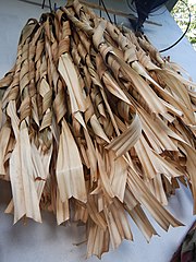 Séchage des feuilles du pandanus à Futuna avant de pouvoir le travailler.