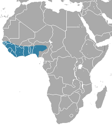 Гамбийский мангуст area.png