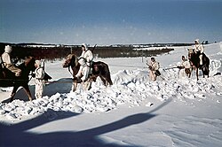 Hämeen Ratsurykmentin osasto Oinosen miehiä hiihtoratsain jatkosodassa Velikaja Nivan itäpuolella 15. maaliskuuta 1942.