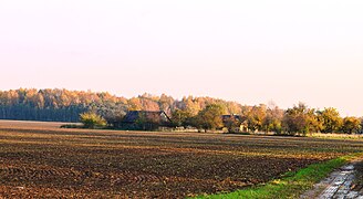 Apleista Joknių sodyba