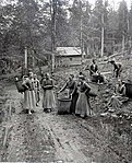 Sběr trávy; Šumava; kolem roku 1890