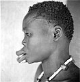 Schwarzafrikanerin mit Lippentellern (1940)