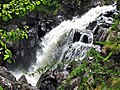 Linn of Muick