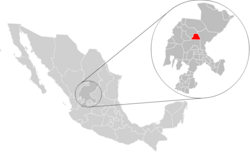 Location of Cañitas de Felipe Pescador within Zacatecas and Mexico