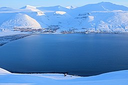 Longyearbyen sett från Hiorthfjellet