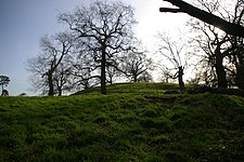 Motte of Wormegay castle - geograph.org.uk - 675386.jpg