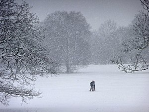 English: Oakwood Park, London N14 - snow storm...