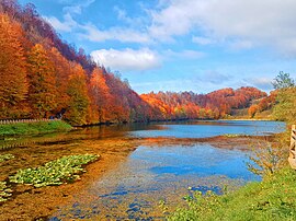 Ordu Gölköy