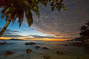 Palm tree at dawn, Patong Beach, Phuket Provin...