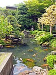 金蛇水神社の神池