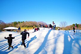 ぽんぽこマウンテン