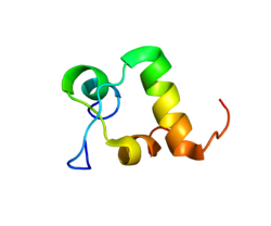 Белок INSL5 PDB 2K1V.png