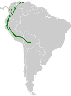Distribución geográfica del trepamusgos barbablanca andino.
