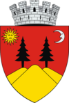 Coat of arms of Fălticeni