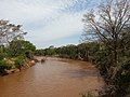 Rio Pirapó bei Paranapoema