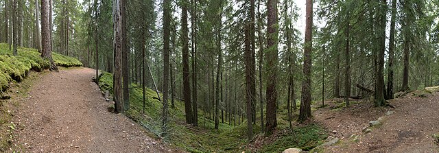 640px-Seitseminen_-_Multiharju_panorama.jpg