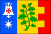 Flag of Semín