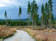 Brandgränsen den 26 juli 2013