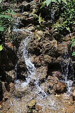 Spring water in Roncador