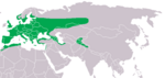 Strix aluco – Verbreitung