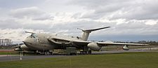 Victor XL231 Lusty Lindy, 2011