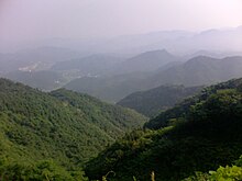 大别山之绿色.jpg