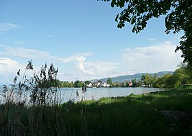 Steinach am Bodensee, von Arbon her gesehen