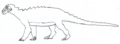 Anoplosaurus