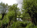 Auenlandschaft, Museumsinsel Hombroich