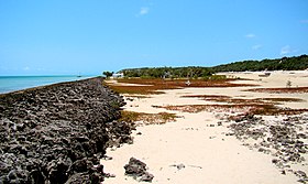 Побережье острова (2)