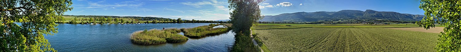 Panorama vom Beobachtungsturm Naturschutzinseln Selzach